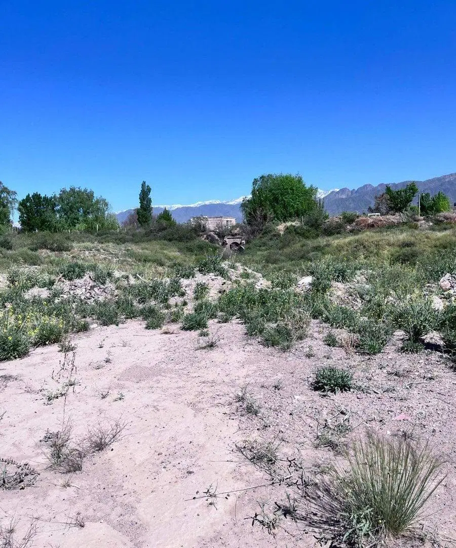 VENTA GRAN TERRENO Ruta Provincial 82 y Saenz Peña 4