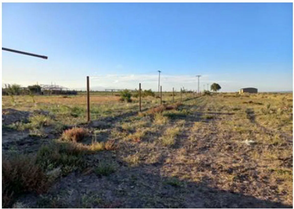 CAMPO EN VENTA 1307 HA ANCHORIS TUPUNGATO RUTA 40 4