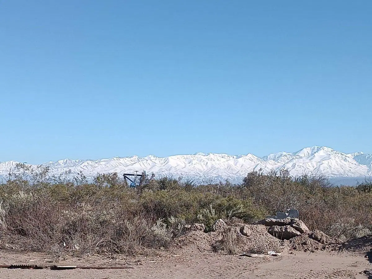 CAMPO EN VENTA 1307 HA ANCHORIS TUPUNGATO RUTA 40 5