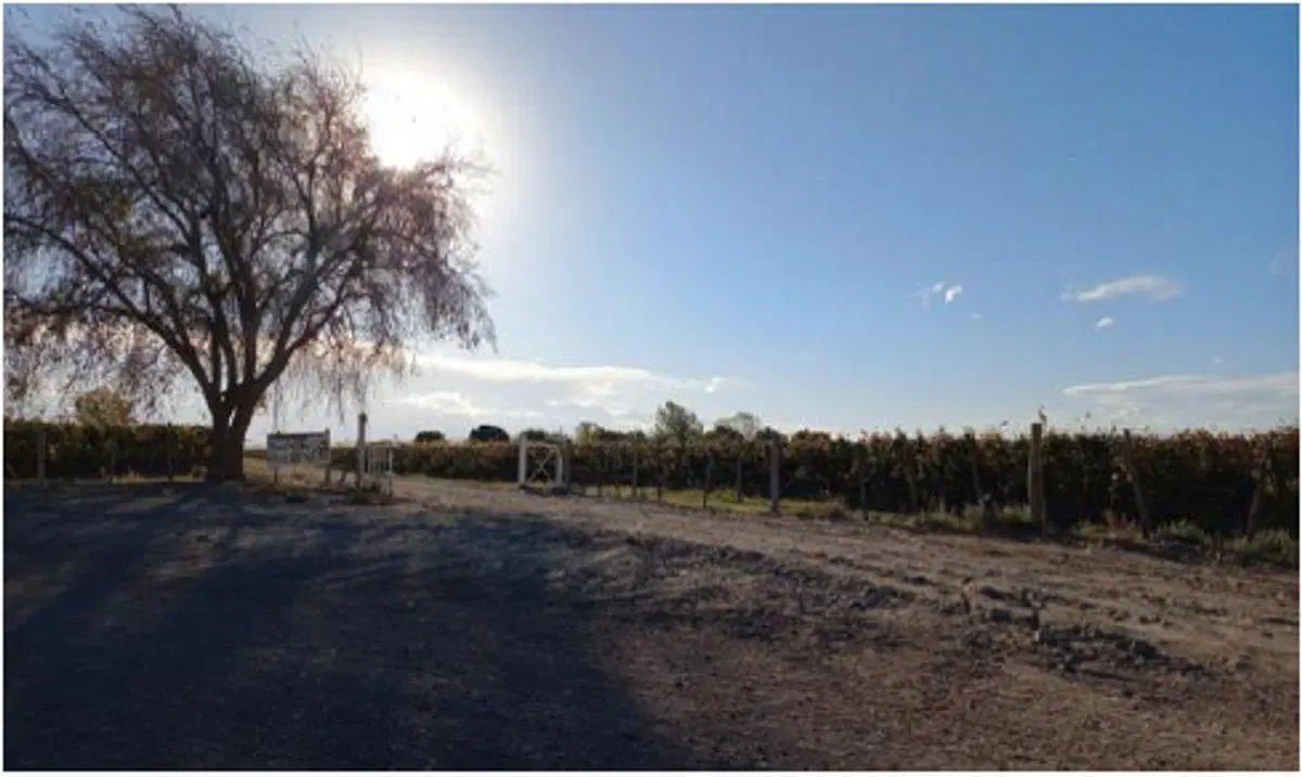 CAMPO EN VENTA 1307 HA ANCHORIS TUPUNGATO RUTA 40 3