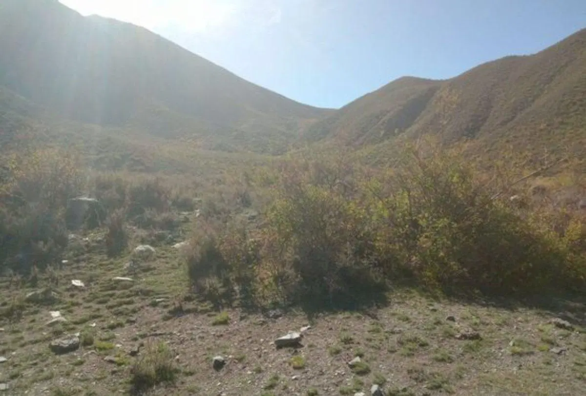 Venta de Gran Terreno en Vallecito, Potrerillos 2