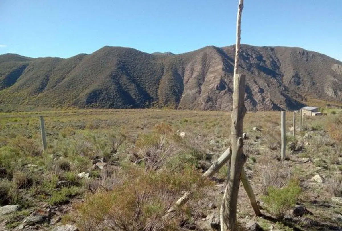 Venta de Gran Terreno en Vallecito, Potrerillos 4