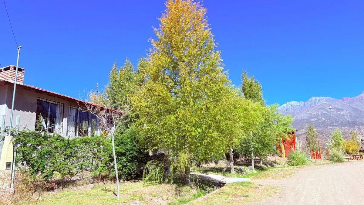 Venta de casa en Potrerillos - Luján de Cuyo 4