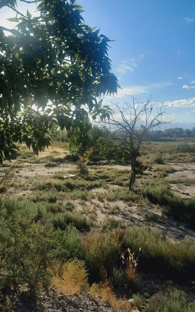 Venta de lote en Perdriel 2