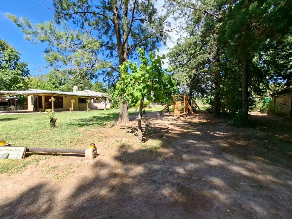 VENTA CASA QUINTA 3 DORM. PILETA - JARDIN - MAIPU 8