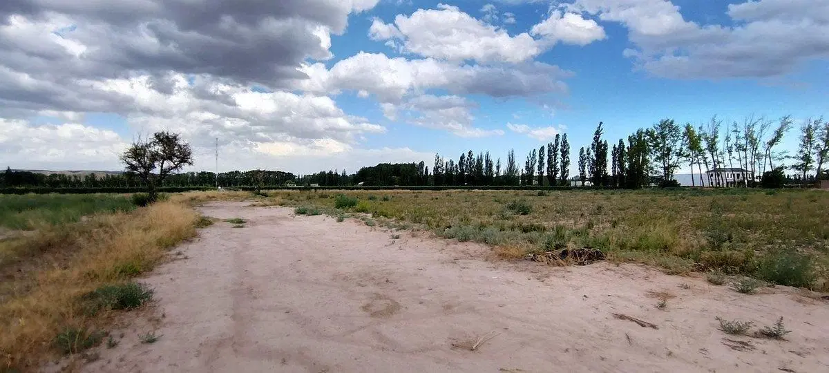 VENTA DE FINCA 5,2ha PERDRIEL, LUJAN DE CUYO 4