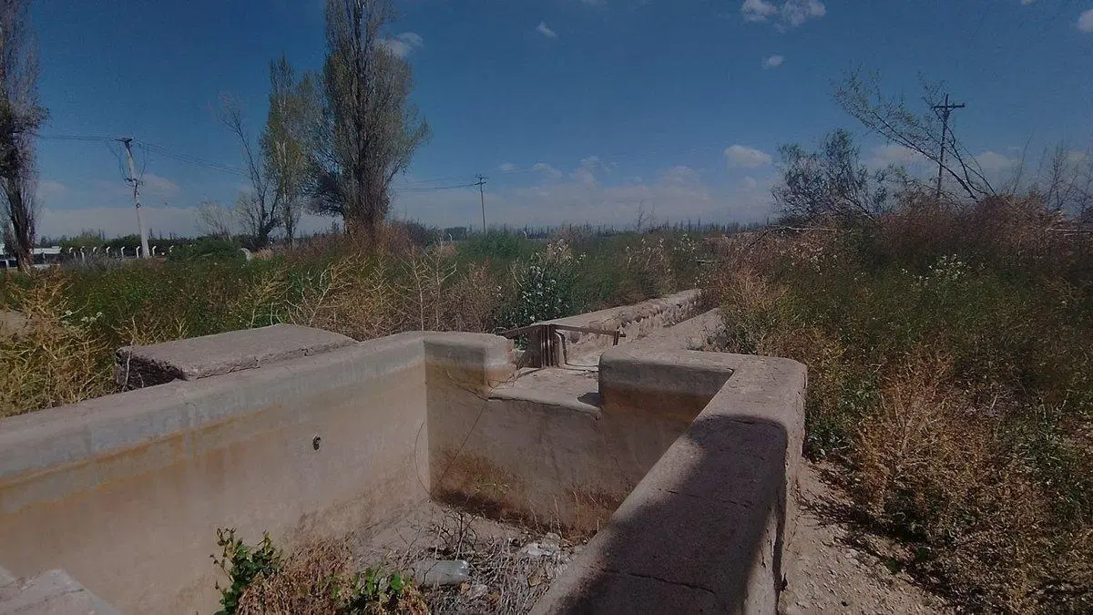 VENTA DE FINCA 5,2ha PERDRIEL, LUJAN DE CUYO 3