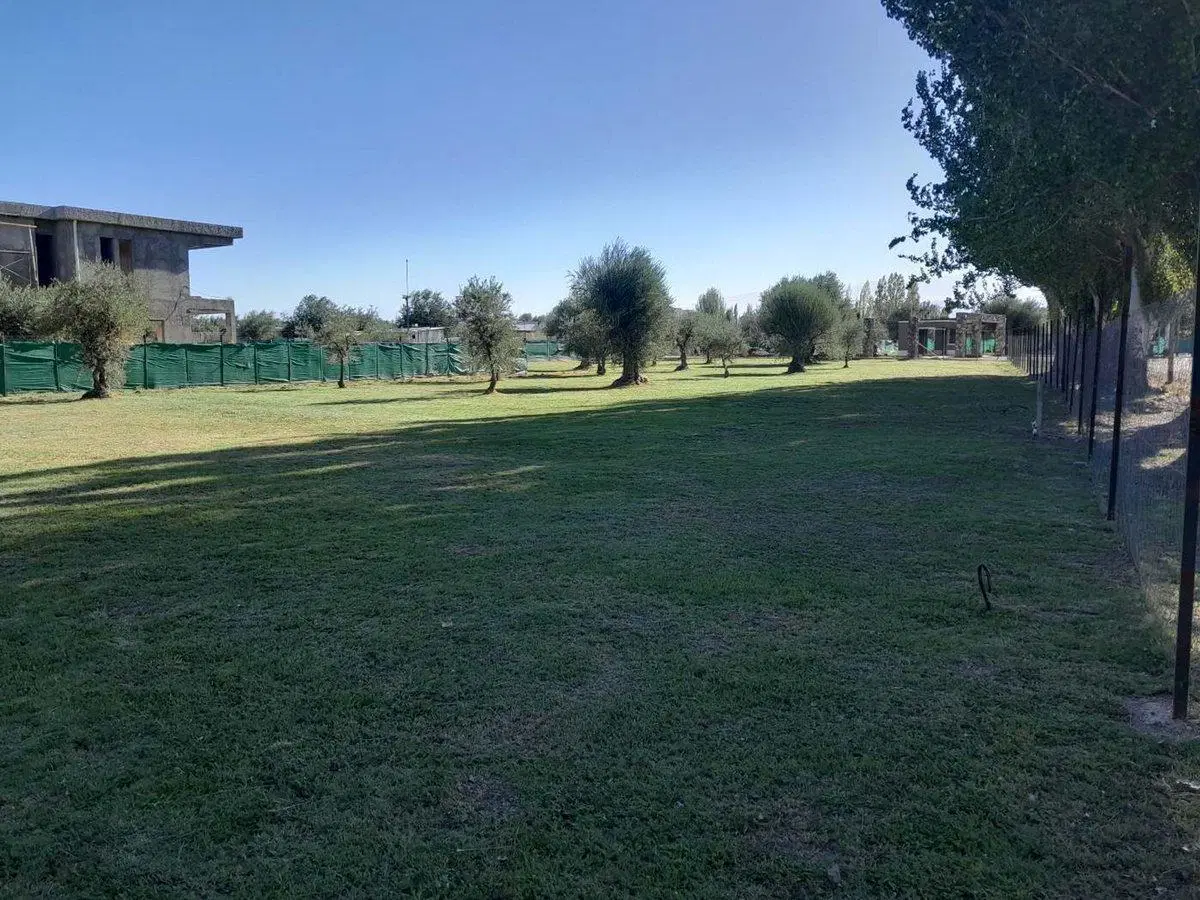 Lote interno en venta en Barrio Olivos de Furlotti 4