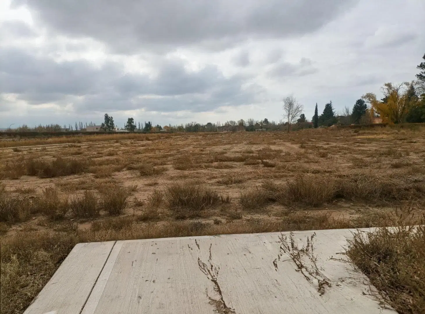VENTA LOTE,Lujan de Cuyo, Mendoza 2