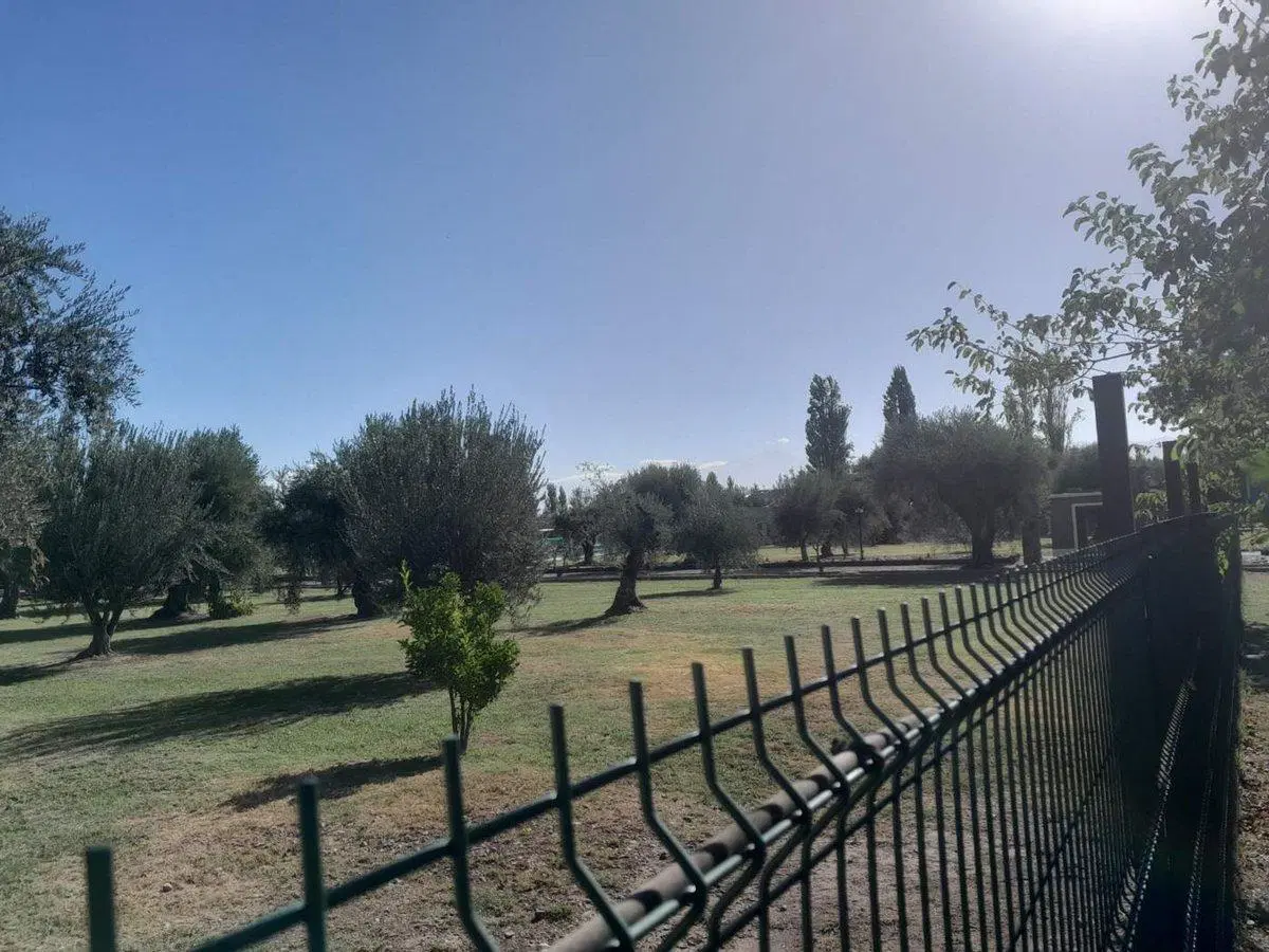 Lote frontal en Venta en Barrio Olivos de Furlotti 4