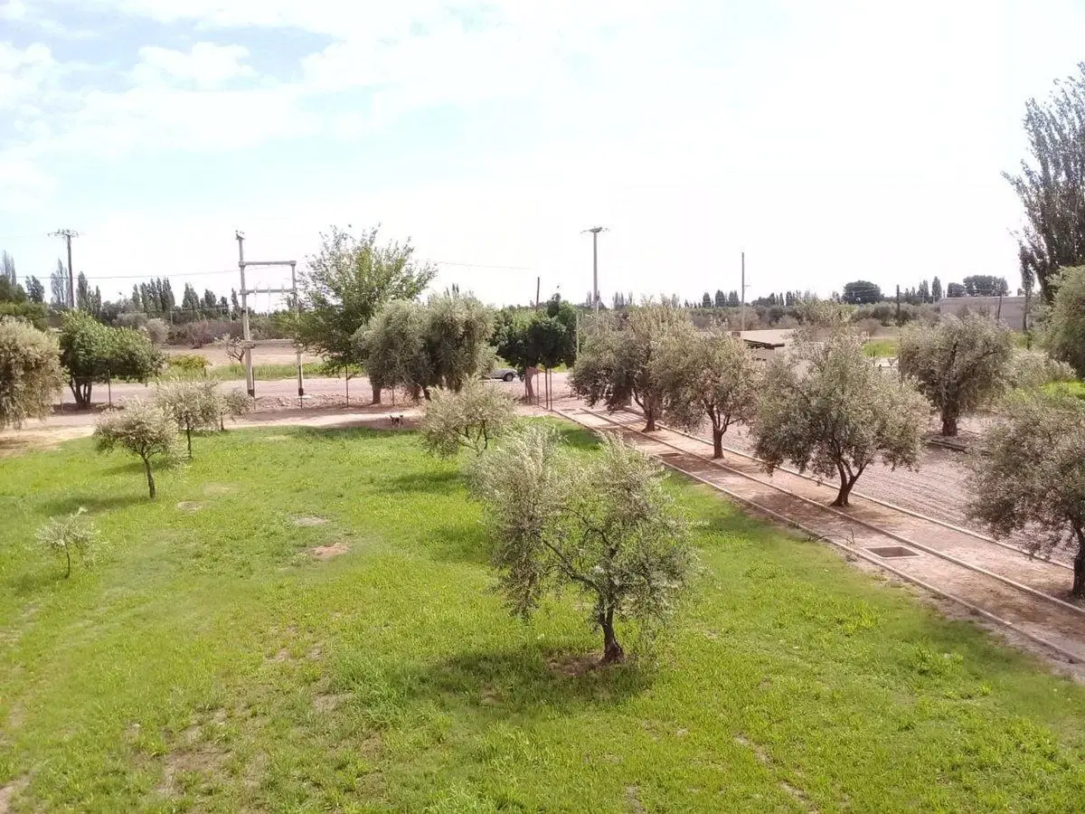 Lote esquina en venta en Olivos de Furlotti 4
