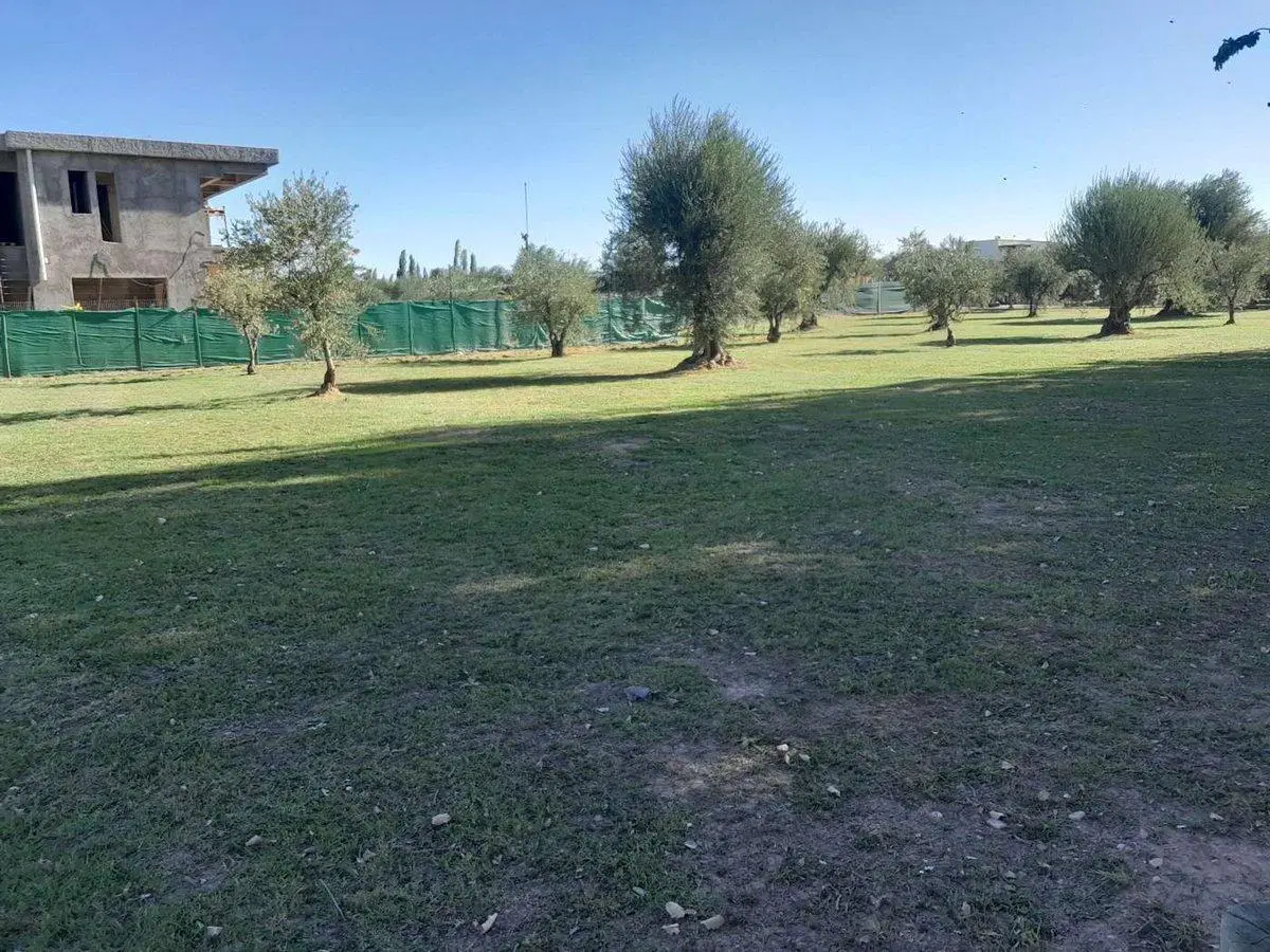 Lote Frontal en venta en Barrio Olivos de Furlotti 2
