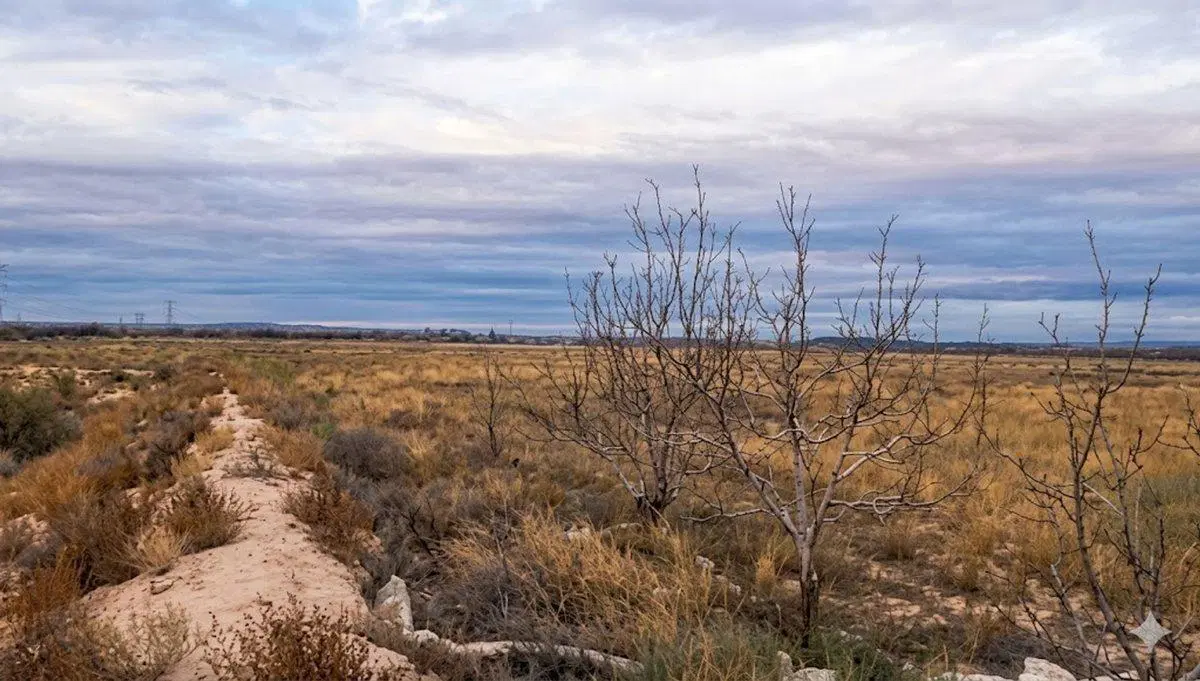 VENTA DE FINCA.  KILOMETRO 49. LUJAN DE CUYO 2