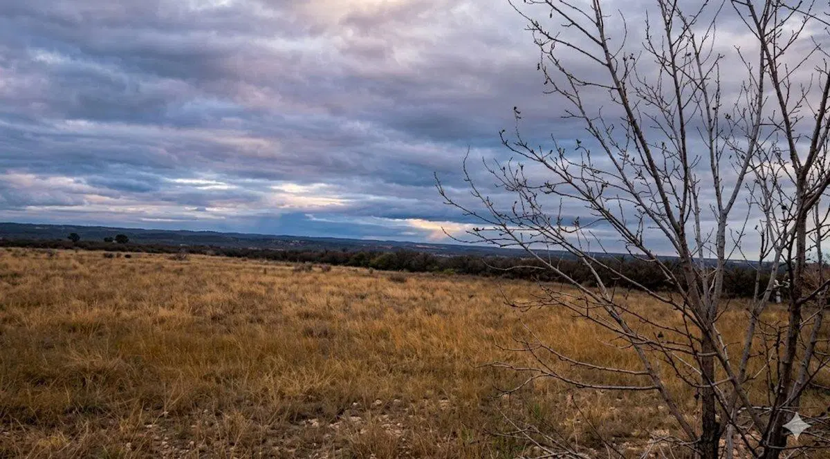 VENTA DE FINCA.  KILOMETRO 49. LUJAN DE CUYO 5