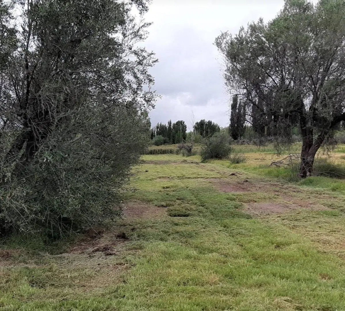 VENTA DE TERRENO FINANCIADO(4.5 HECTAREAS)EN MAIPU 2