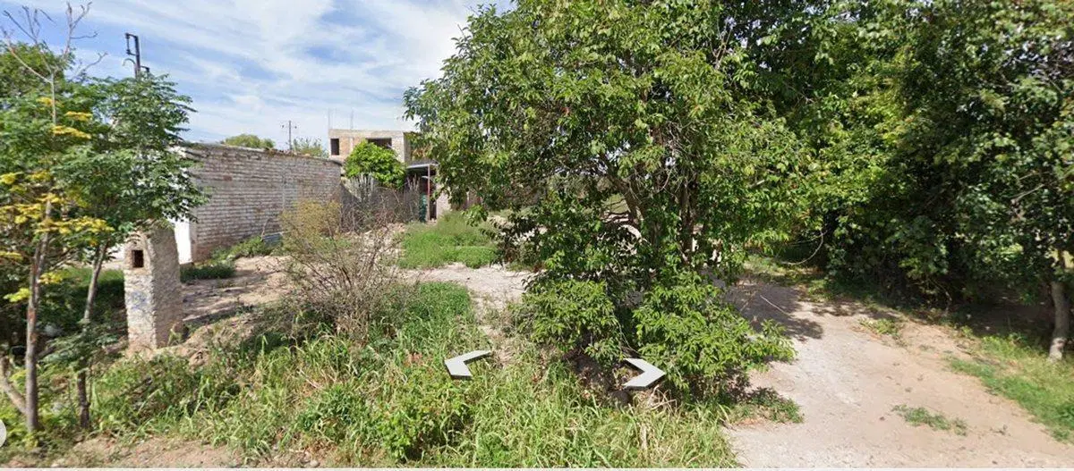 Terreno en venta 4000 m² Cruz de Piedra con olivos 8