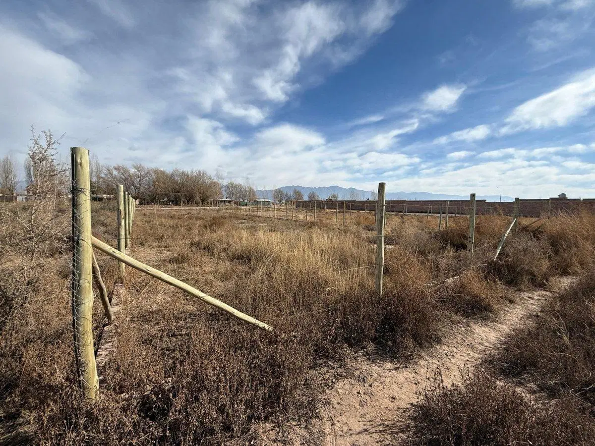 Lote en venta en Perdriel Lujan de Cuyo 2