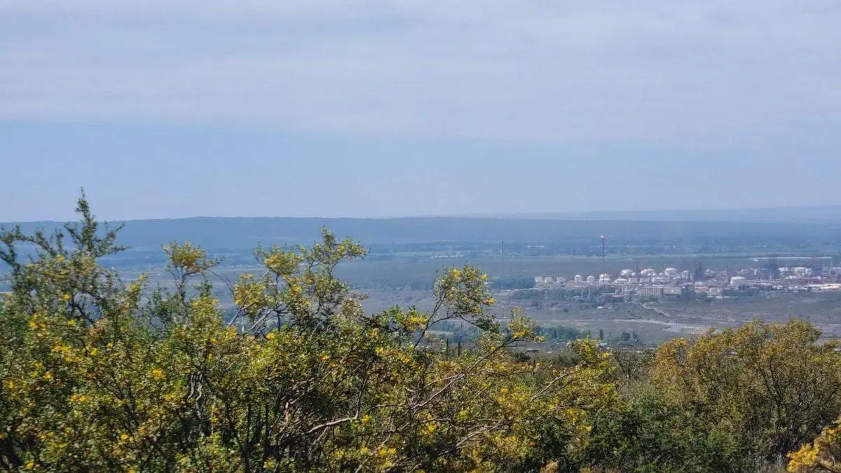 VENTA LOTE 2000 METROS B° ECOLOGICO LA CRUCESITA 8