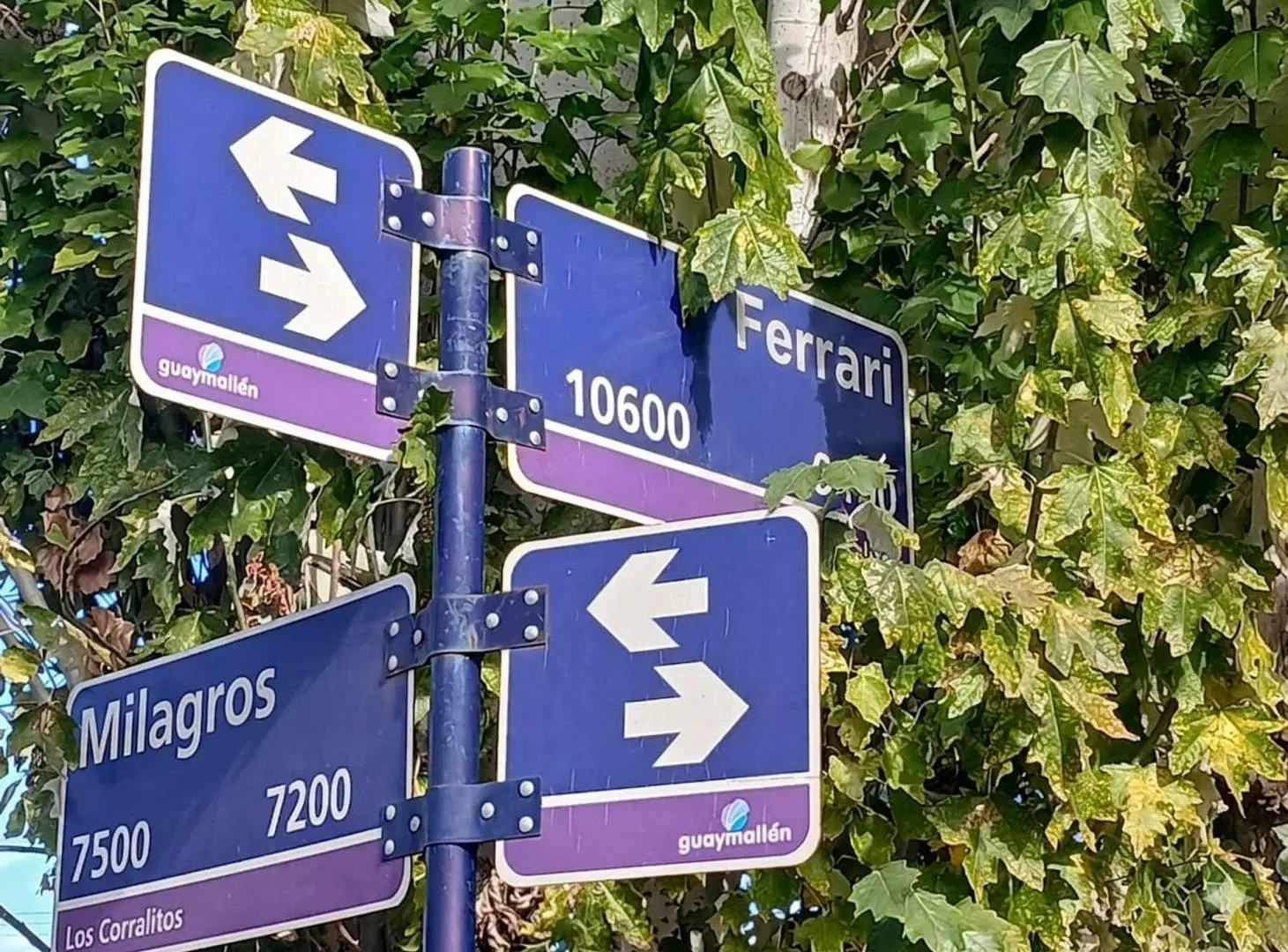 VENTA TERRENO ESQUINA EXCELENTE UBICACIÓN GLLÉN 2