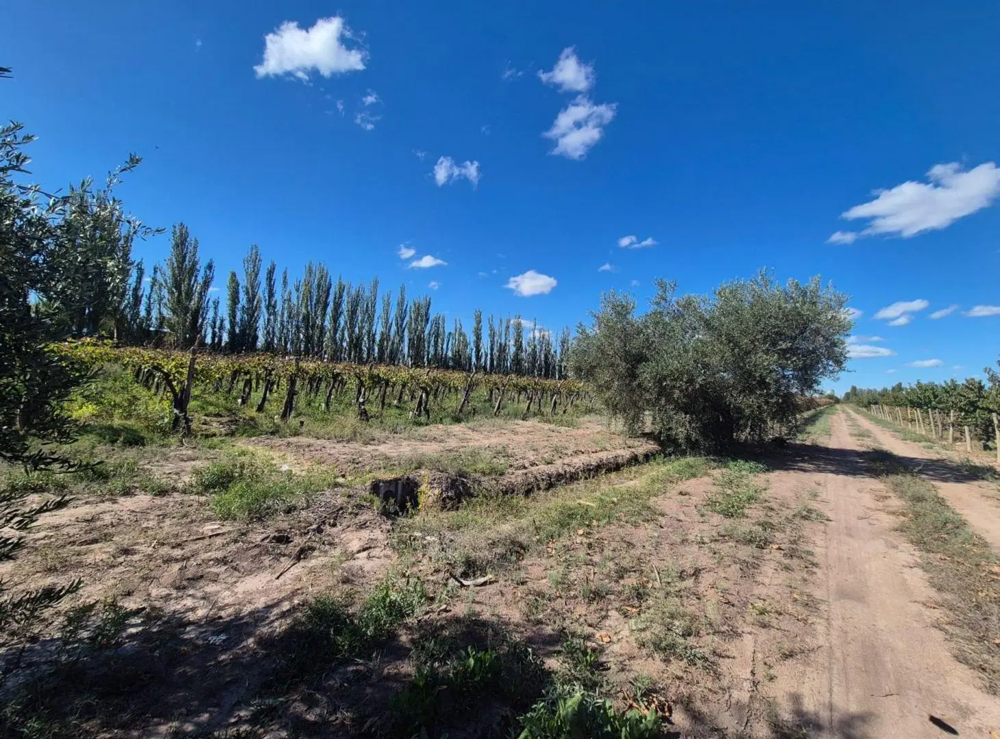 Venta de finca en El Central, San Marín, Mza 4
