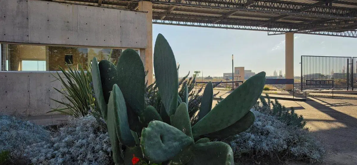 Venta lote esquina Pinar Vistalba- Vista a Montaña 4