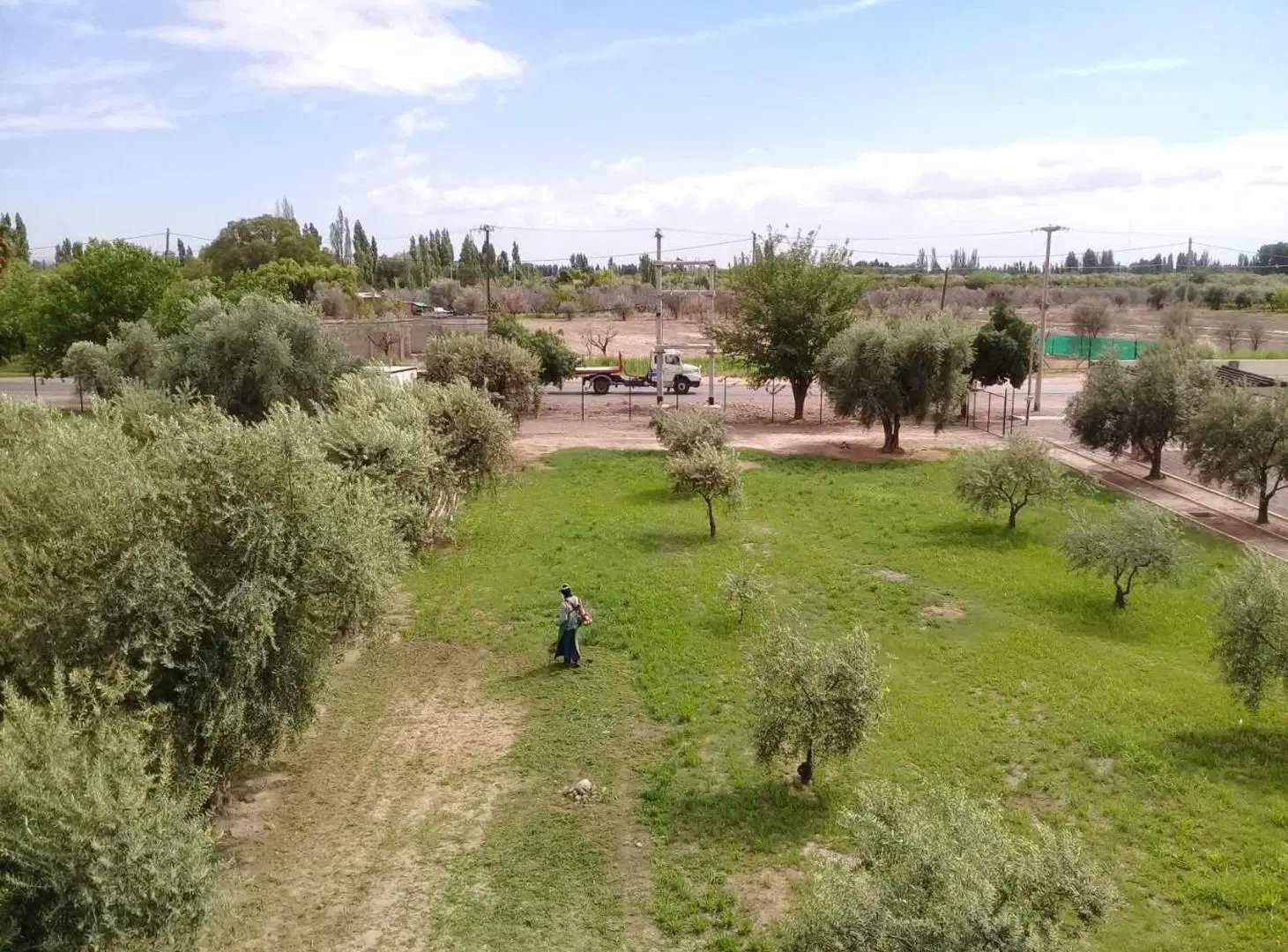Terreno en venta Olivos de Furlotti 3