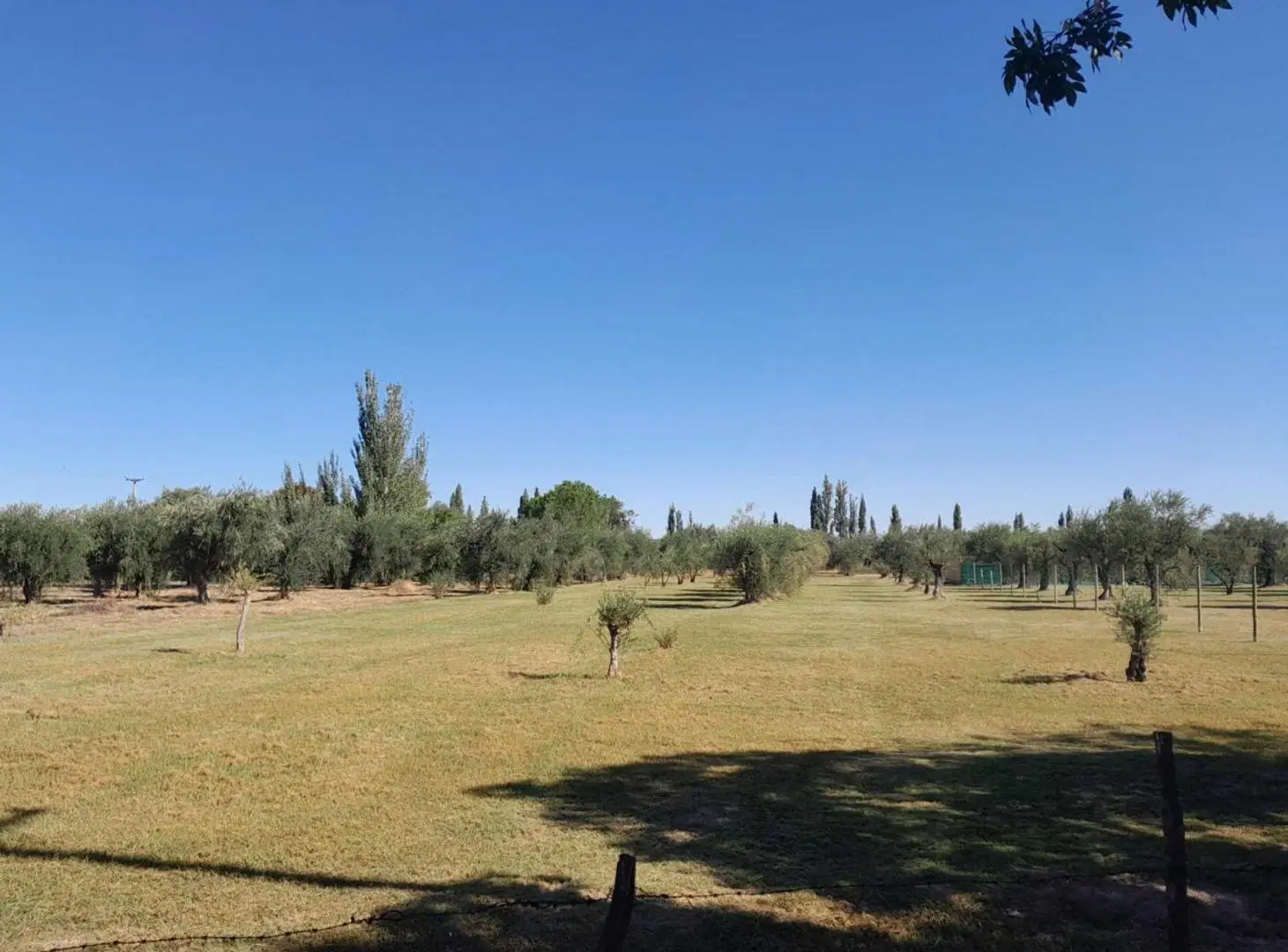 Terreno comercial en vental Bª Olivos de Furlotti 5