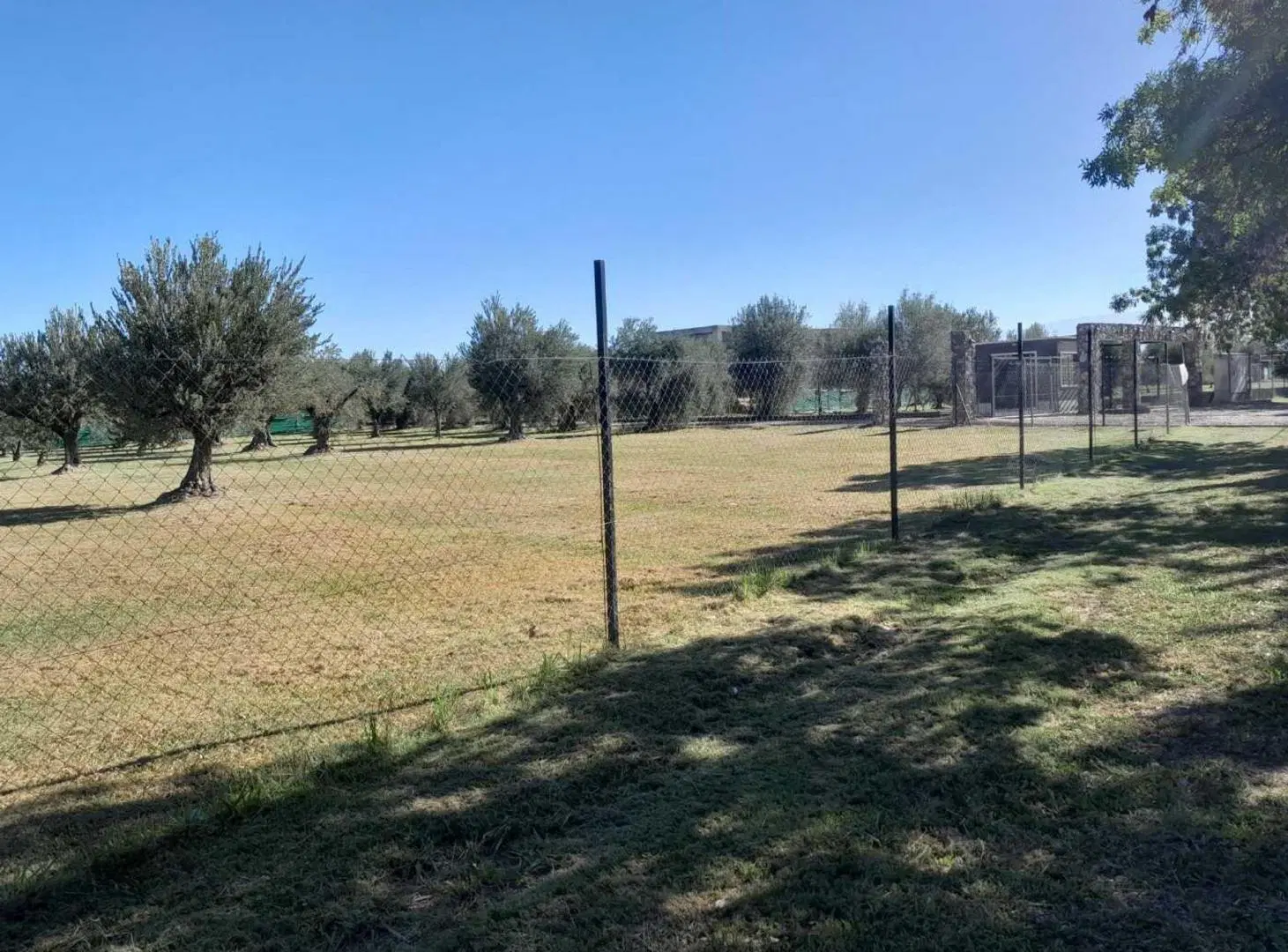 Terreno comercial en vental Bª Olivos de Furlotti 7
