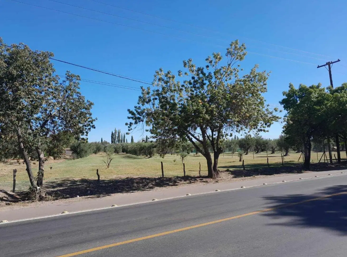 Terreno comercial en vental Bª Olivos de Furlotti 1