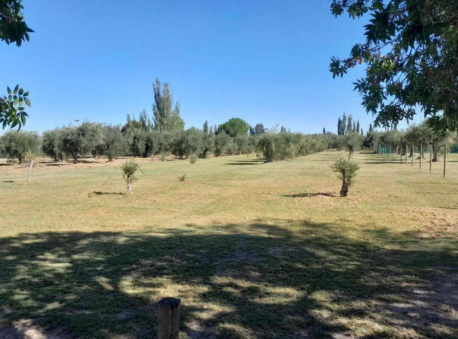 Terreno comercial en vental Bª Olivos de Furlotti 4