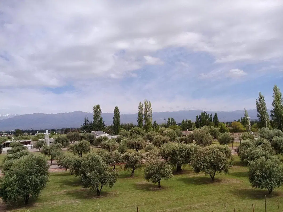 Lote esquina en venta en Olivos de Furlotti 1