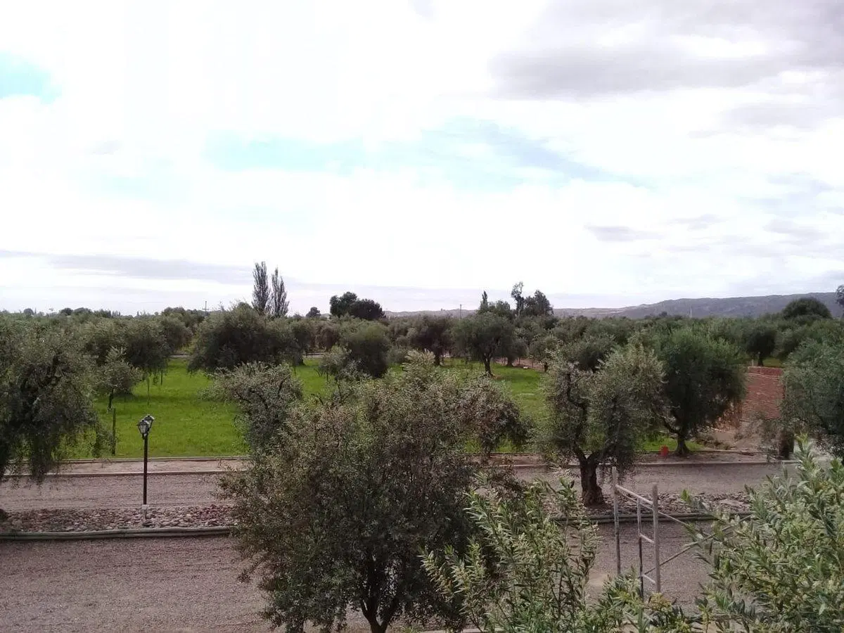 Lote esquina en venta en Olivos de Furlotti 2