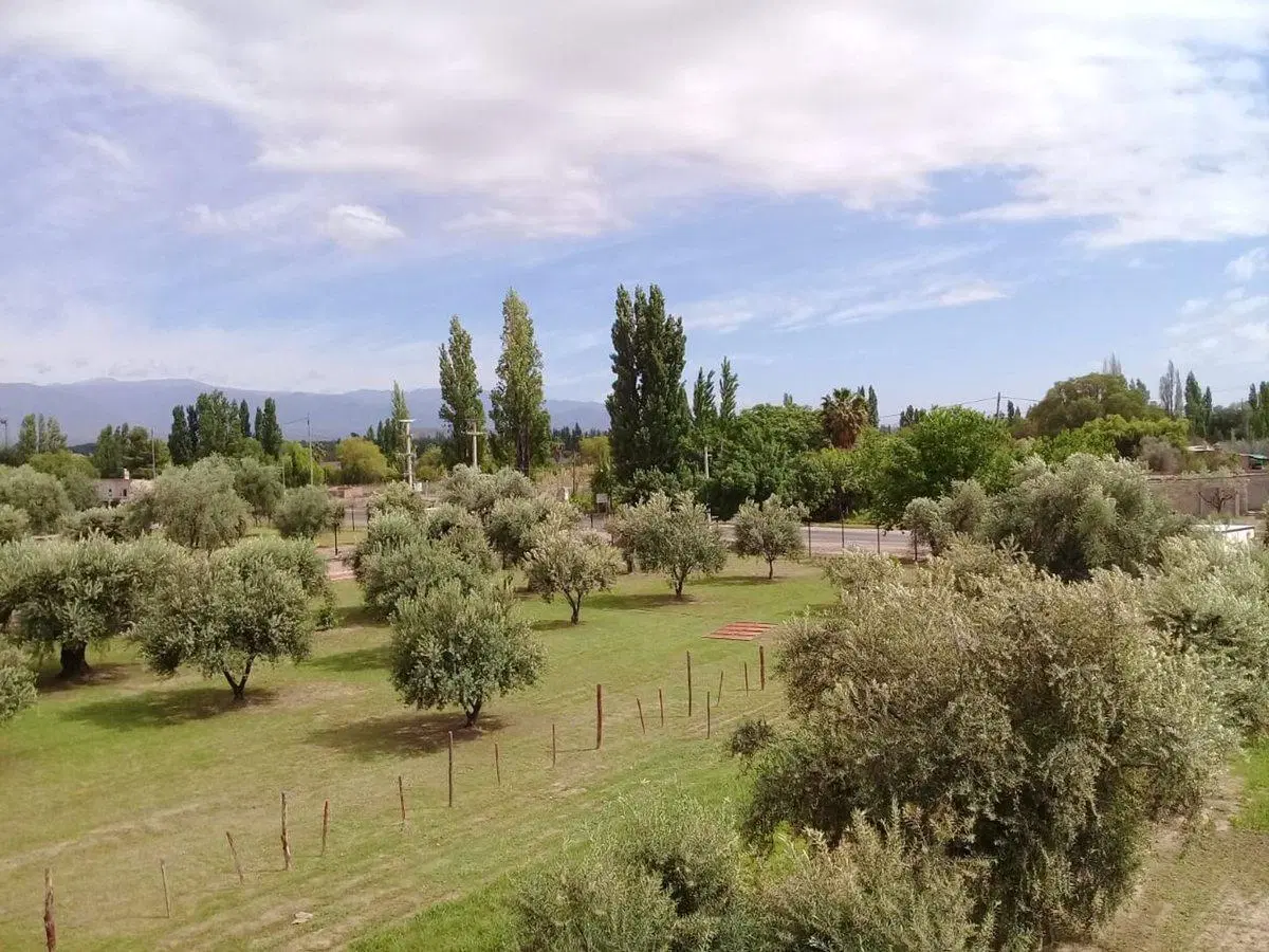 Lote esquina en venta en Olivos de Furlotti 3