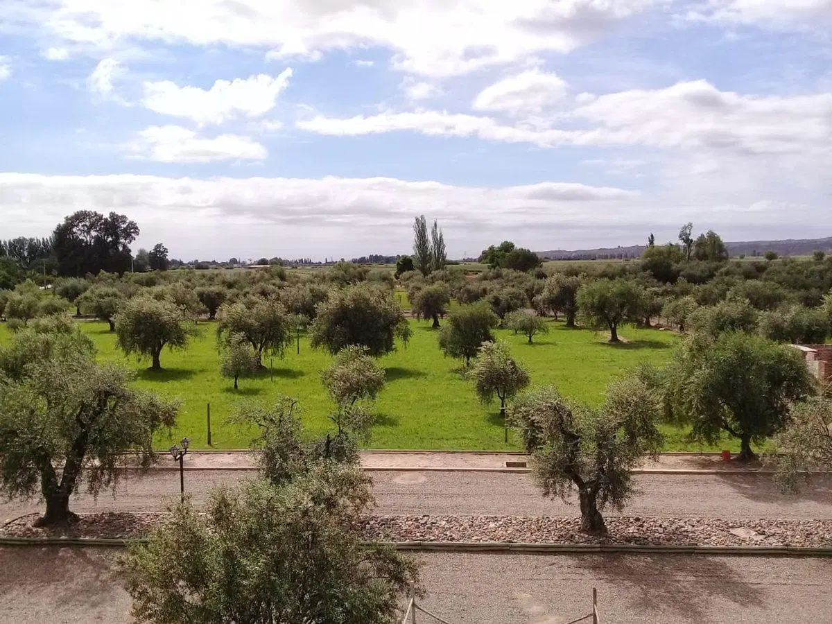 Lote esquina en venta en Olivos de Furlotti 4