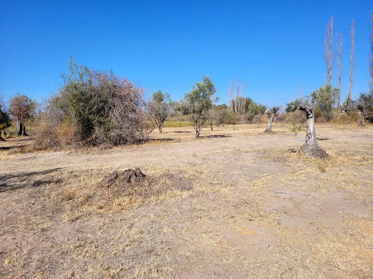 VENTA DE TERRENO FINANCIADO(4.5 HECTAREAS)EN MAIPU 2