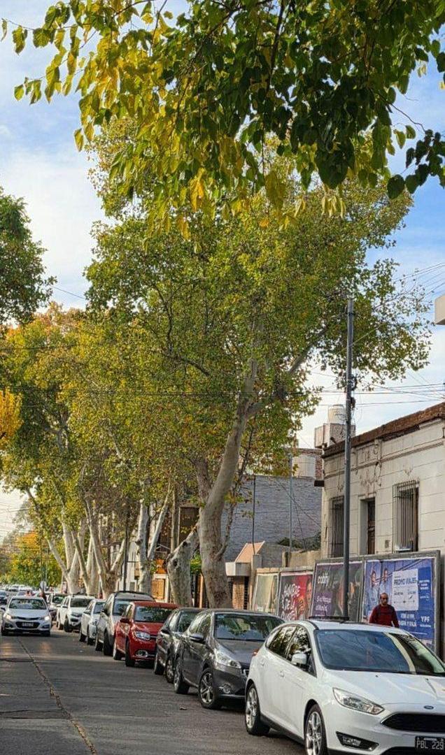 Foto de Venta Lote a metros H. Español - Apto desarrollo, imagen 4
