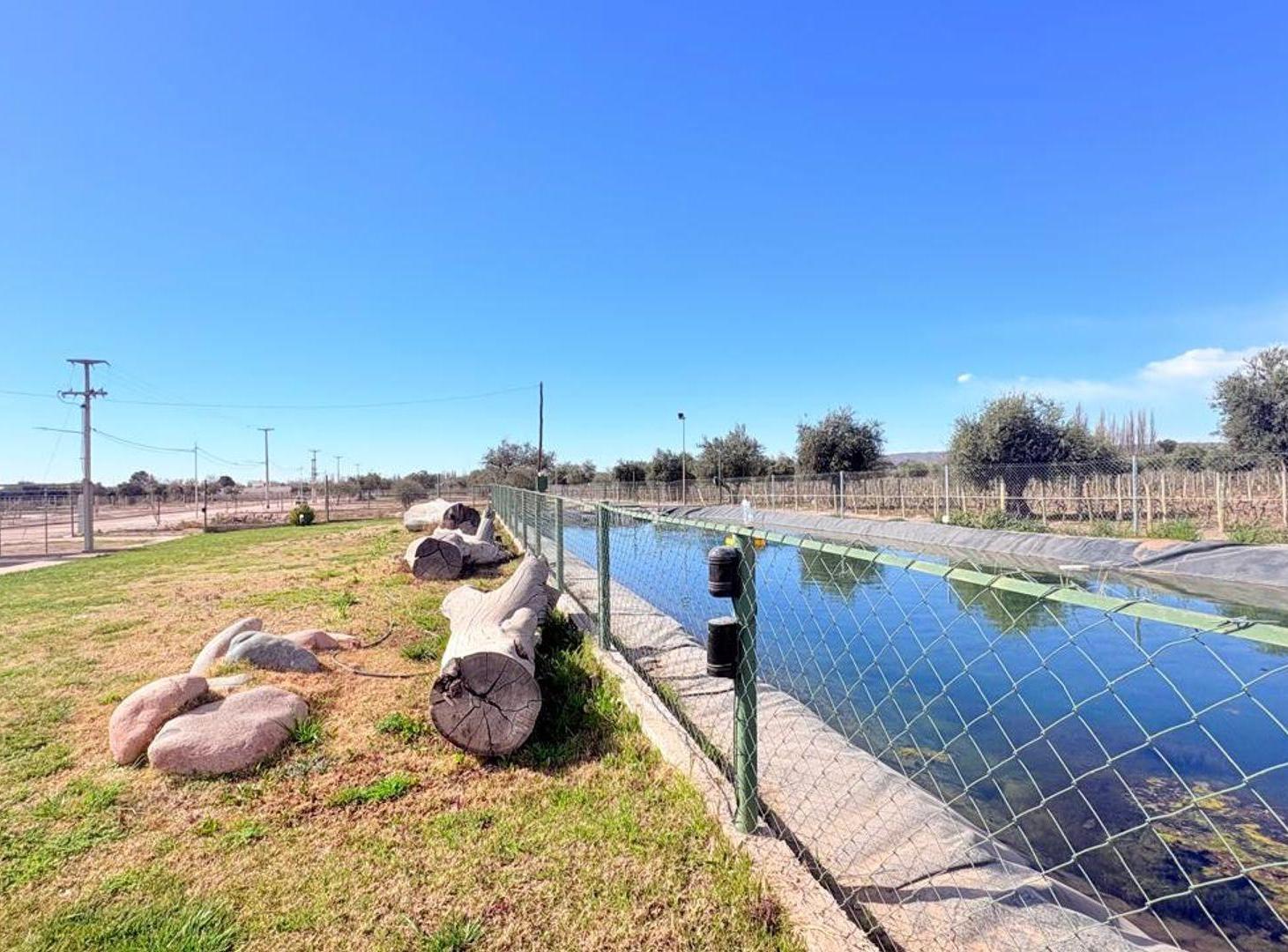Foto de Venta Lote Maipú, imagen 2