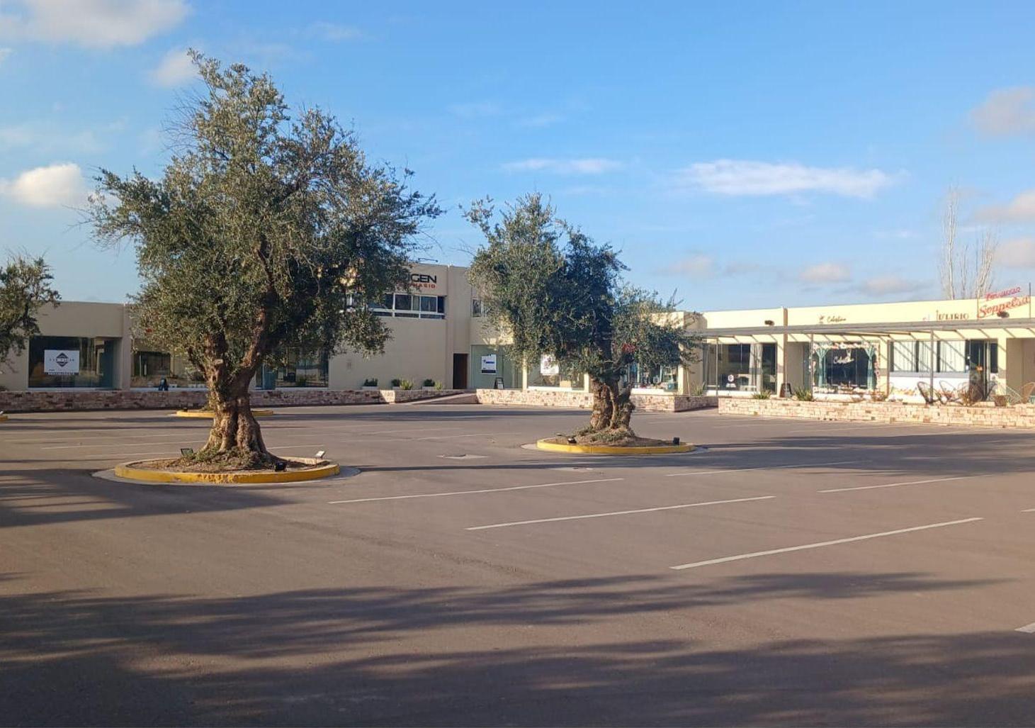 Foto de Lote Central B°Privado Las Tacas I en venta- Maipu, imagen 1
