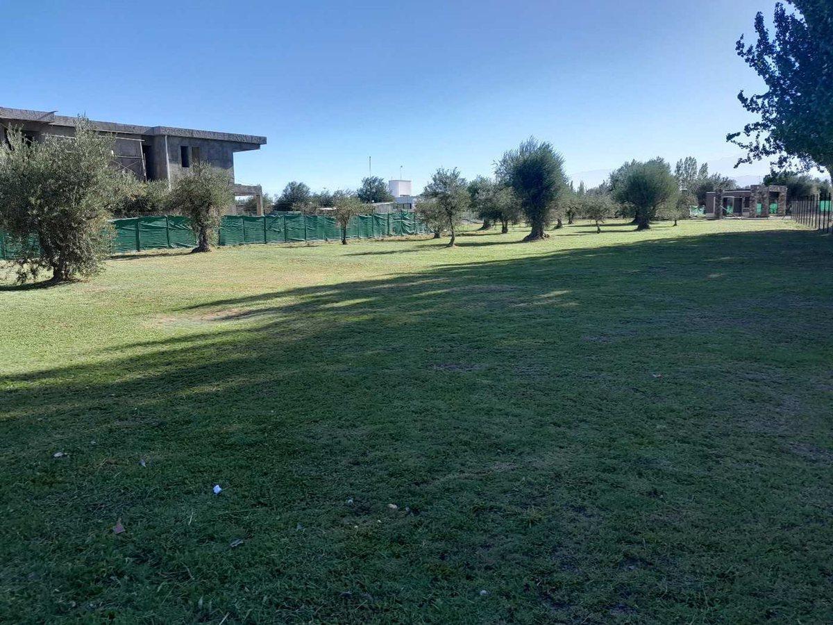 Foto de Lote Frontal en venta en Barrio Olivos de Furlotti, imagen 5
