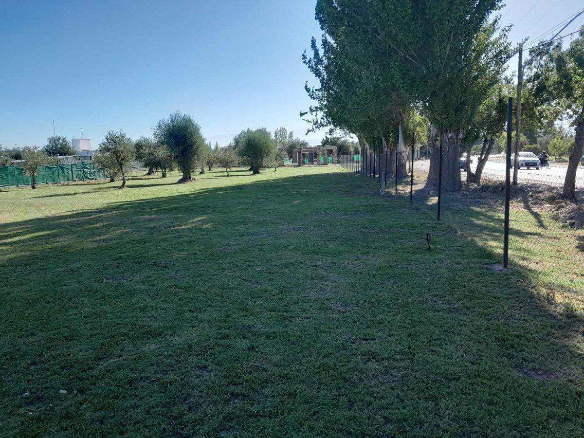 Foto de Lote Frontal en venta en Barrio Olivos de Furlotti, imagen 1