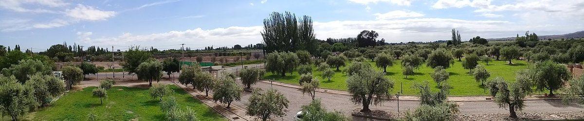 Foto de Lote Frontal en venta en Barrio Olivos de Furlotti, imagen 3