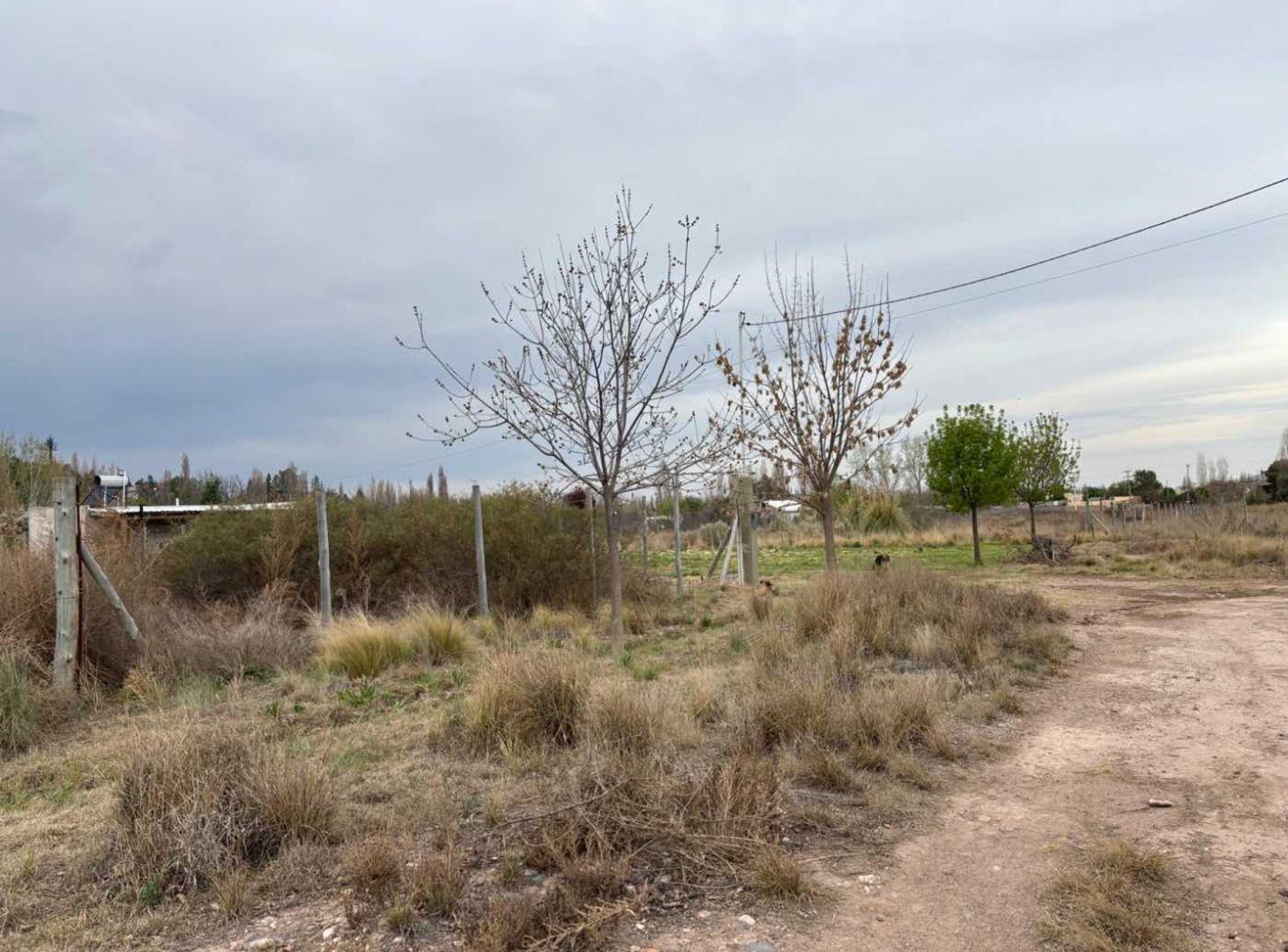Foto de LOTE EN VENTA EN VISTALBA, imagen 4