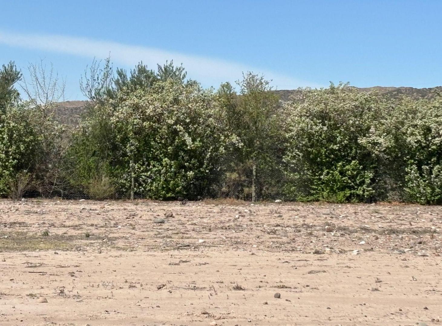 Foto de LOTE EN VENTA EN PEDRIEL LUJAN DE CUYO, imagen 5