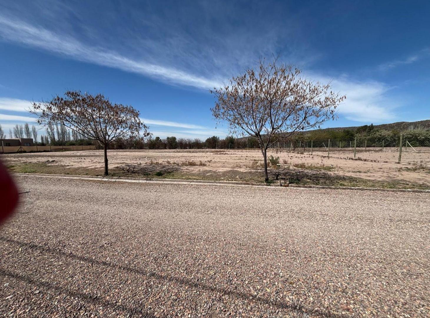 Foto de LOTE EN VENTA EN PEDRIEL LUJAN DE CUYO, imagen 3