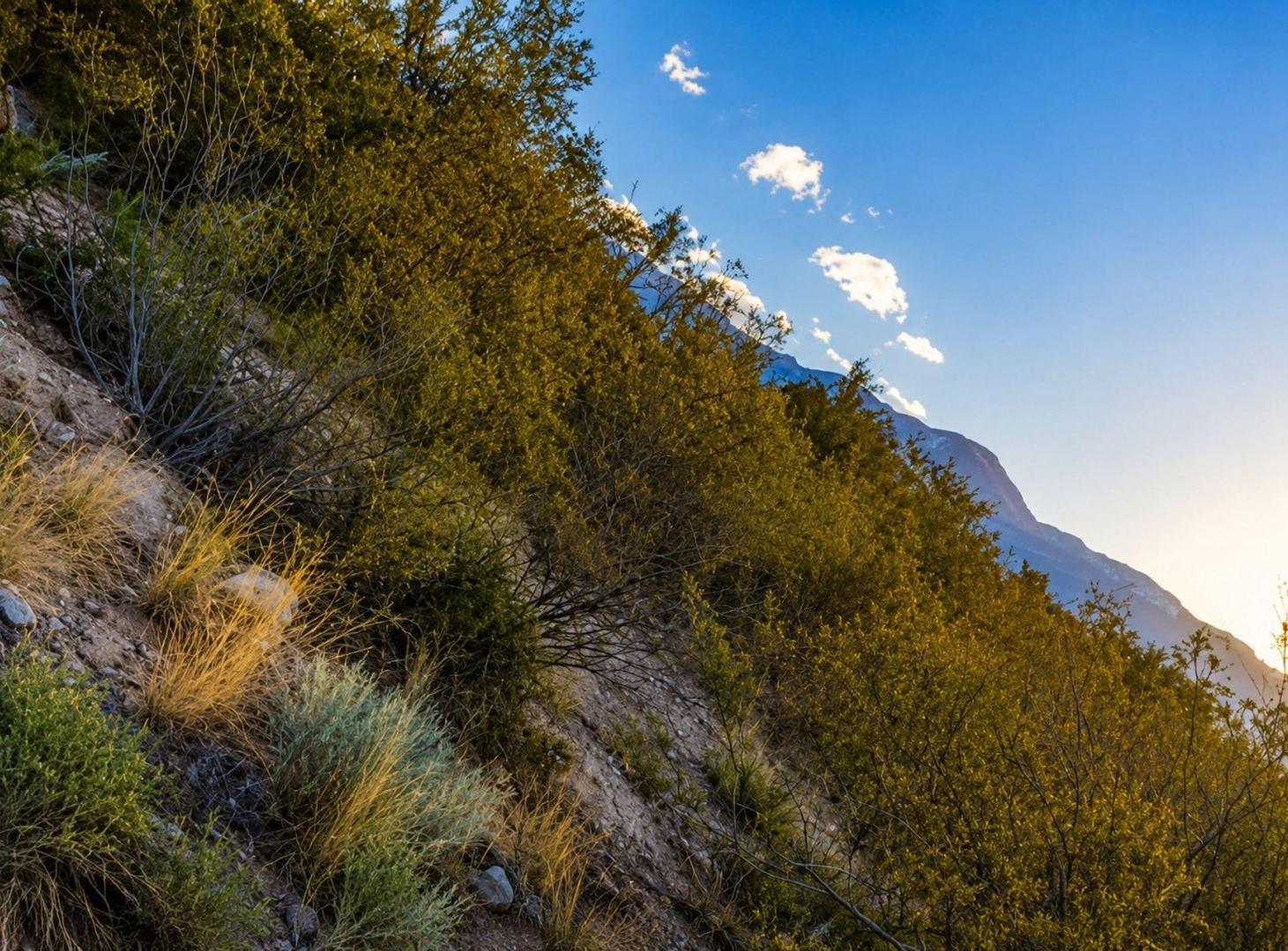 Foto de Venta de Terreno en el Pedemonte Lujan de Cuyo, imagen 5