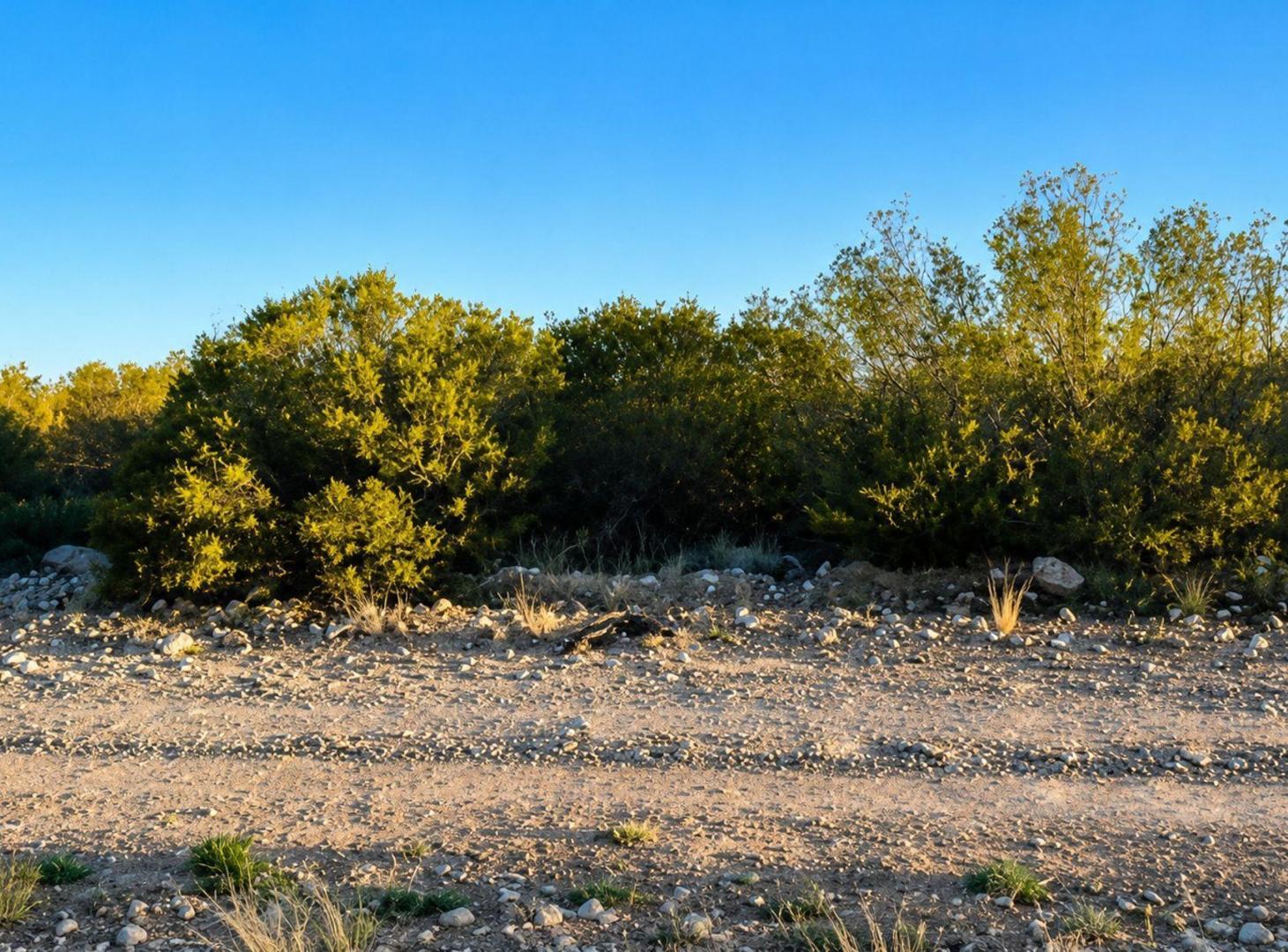 Foto de Venta de Terreno en el Pedemonte Lujan de Cuyo, imagen 3