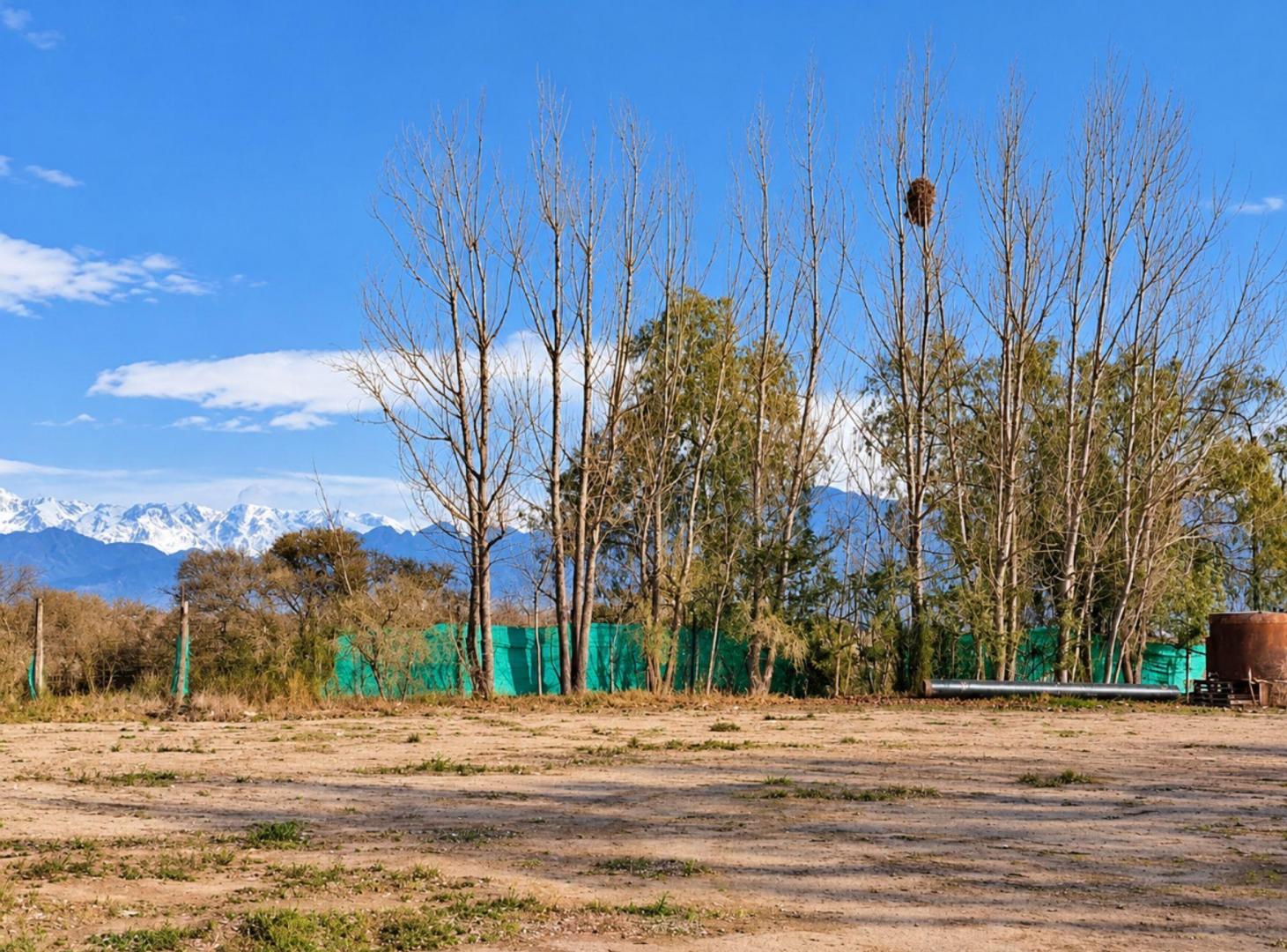 Foto de VENTA GALPÓN EN PERDRIEL, imagen 3
