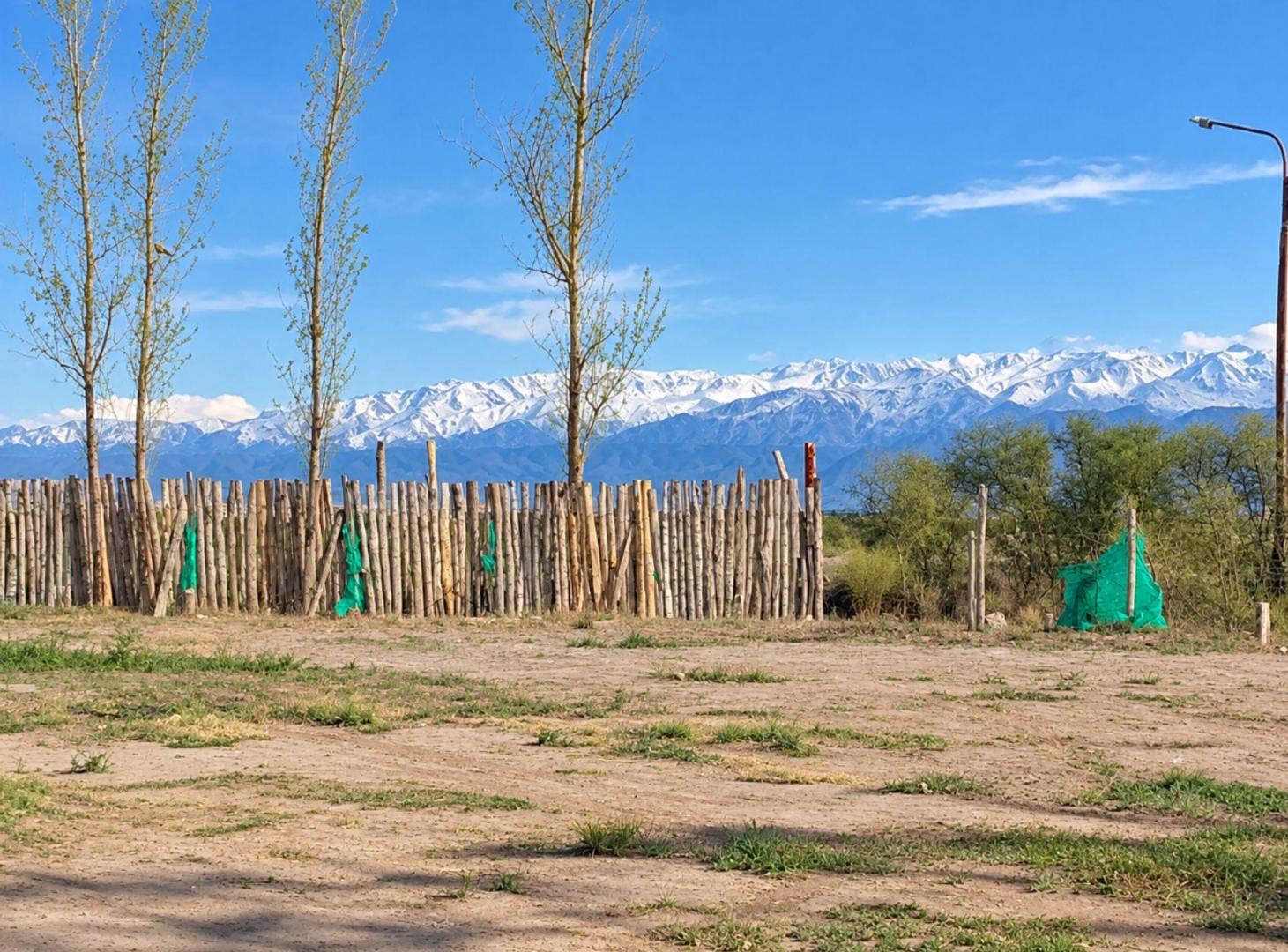 Foto de VENTA GALPÓN EN PERDRIEL, imagen 4