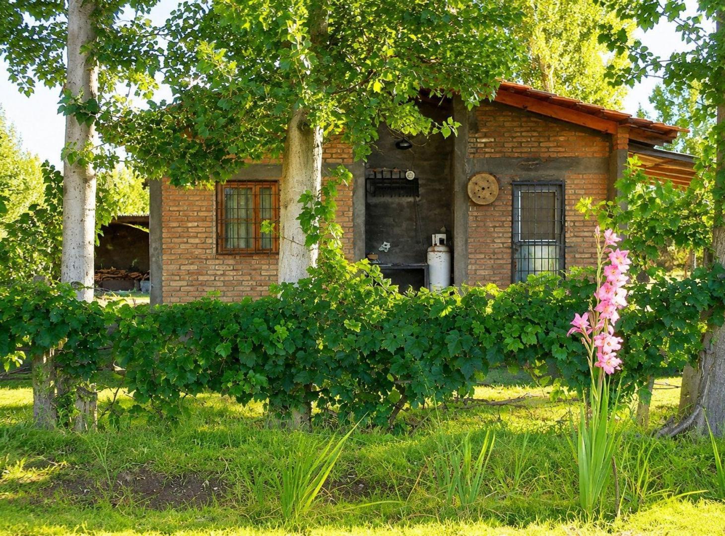 Foto de Venta de 2 casas con finca en Fray Luis Beltran, imagen 3