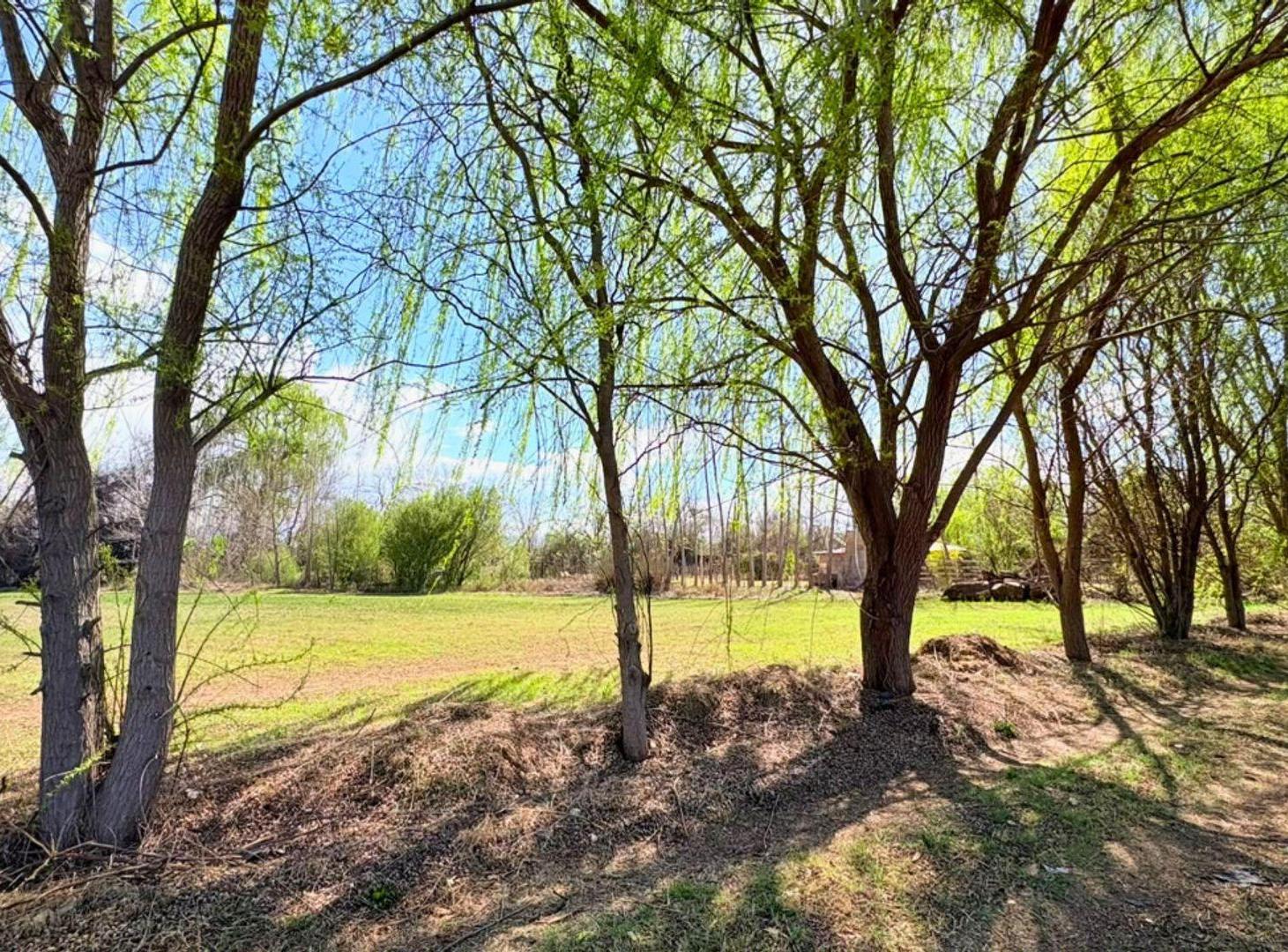Foto de Venta Lote Tunuyán, imagen 2